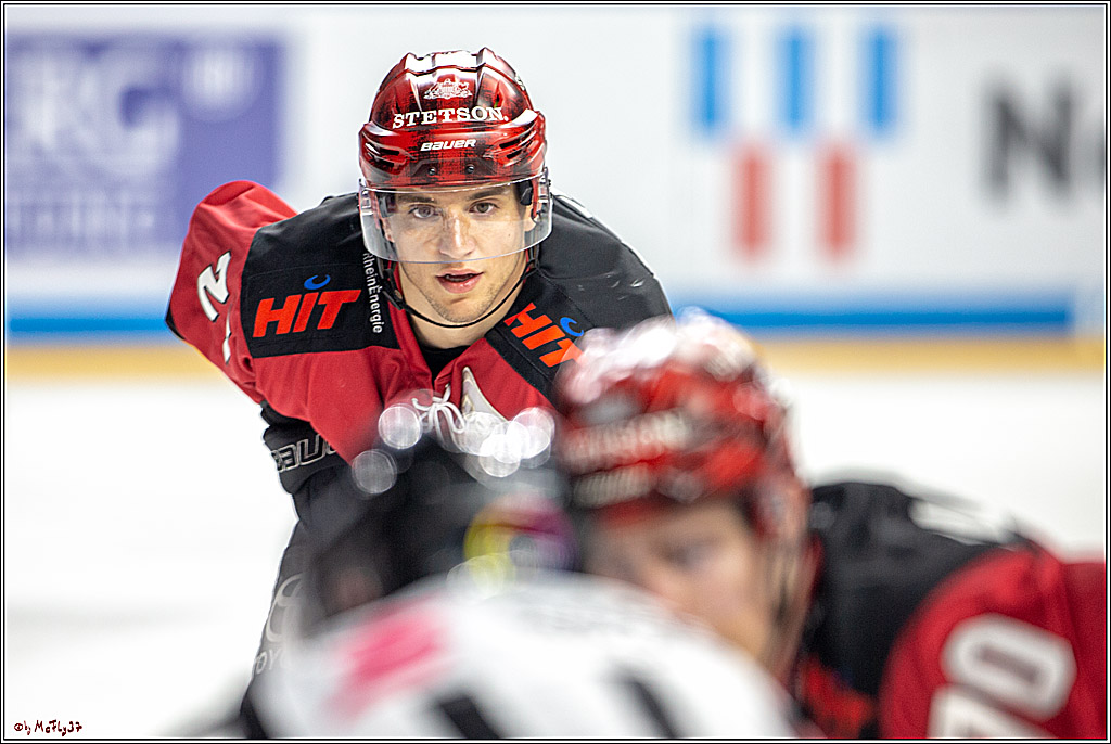 DEL; Koelner Haie - Thomas Sabo Ice Tigers Nuernberg, 19.02.2019